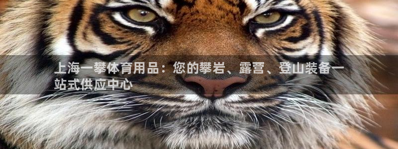 欧陆娱乐登录注册平台有哪些：上海一攀体育用品：您的攀
