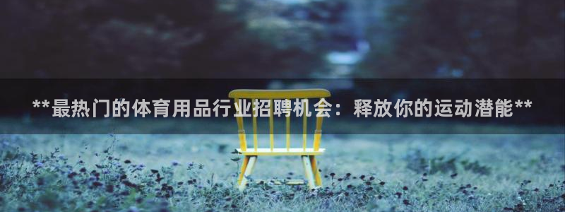 欧陆娱乐平台登陆地址是什么意思：**最热门的体育用品