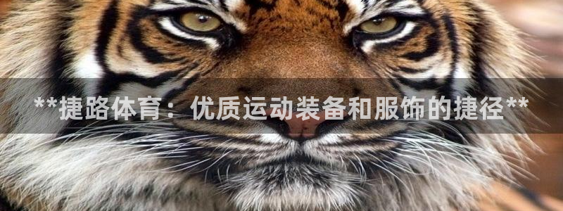 欧陆娱乐共创美好时刻：**捷路体育：优质运动装备和服饰的捷径