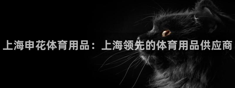 欧陆娱乐代理多少个点位：上海申花体育用品：上海领先的体育用品