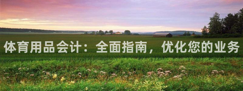 欧陆娱乐能不能玩手游：体育用品会计：全面指南，优化您